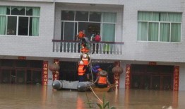 爆料房子被淹了视频大全,家园受损，共渡难关